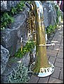 CIMG9243.JPG