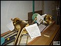 CIMG2365.JPG