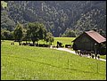 P8248338.JPG