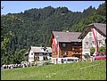 P8248340.JPG