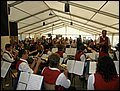 P8248465.JPG