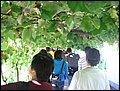 IMG_0064.JPG