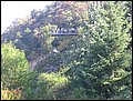 IMG_0141.JPG