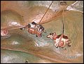 MVL_Suedtirol (72).JPG