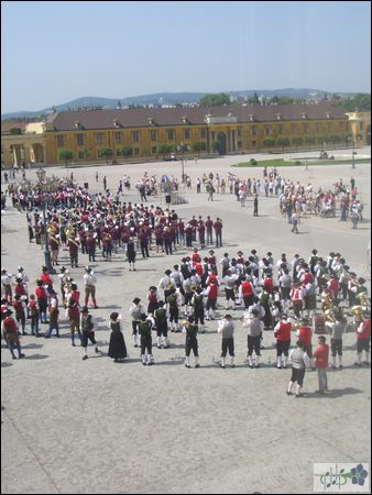 CIMG3451.JPG