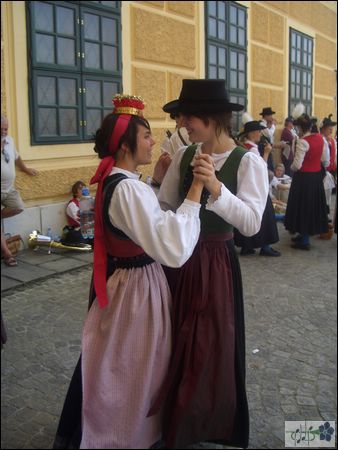 CIMG3461.JPG