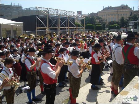 CIMG3568.JPG