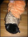 PICT0011.JPG