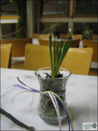 konzert010.JPG