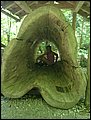 IMG_2184.JPG