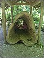 IMG_2185.JPG