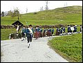 Maiblasen (25).JPG